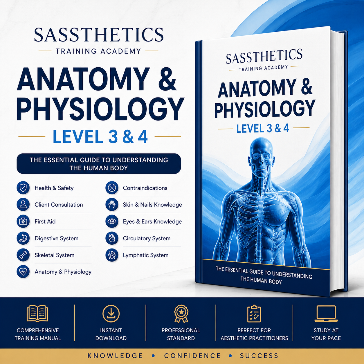 Anatomy & Physiology Level 3 & 4 Training Manual | Digital PDF for Aesthetic & Beauty Practitioners