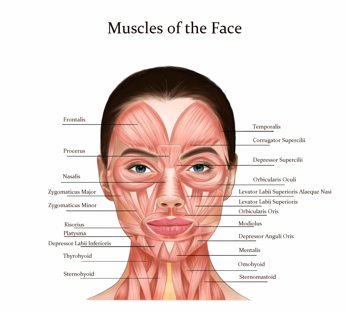 🌟Advanced Anti Wrinkle Training Course🌟£699.                                                                            Choose your own dates