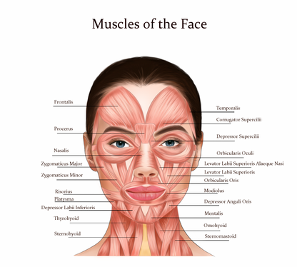 Advanced Anti Wrinkle Training Course Blackpool