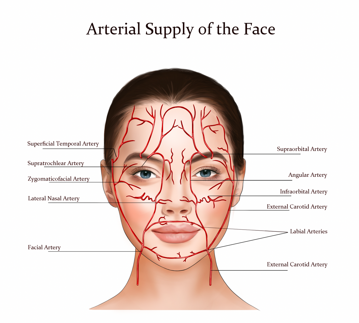🌟Advanced Anti Wrinkle Training Course🌟£699.                                                                            Choose your own dates