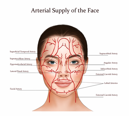 Advanced Anti Wrinkle Training Course Blackpool