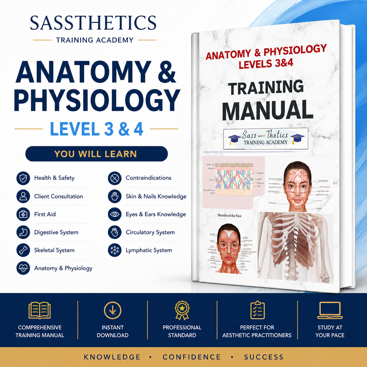 Microneedling Training Manual digital PDF by Sassthetics Training Academy featuring anatomy, treatment protocols, consultation, aftercare and professional aesthetics training.